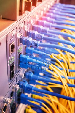 Fiber Optik kablolar ethernet portlarına bağlı optik portlara ve ağ kablolarına bağlı