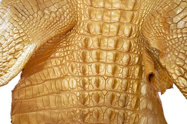 Закрытие Кожи Крокодилов Желтый Цвет — стоковое фото