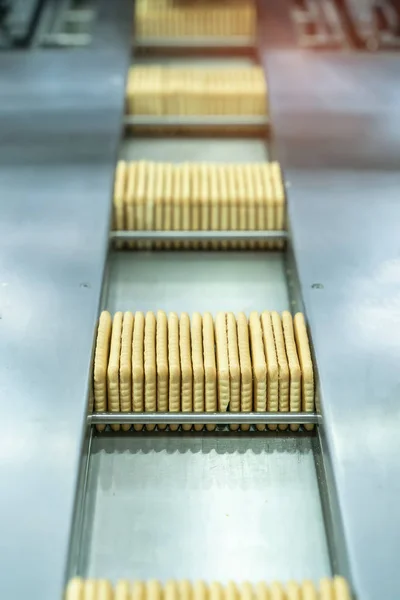 automate robot conveyor in Production of biscuits in a manufacture factory for the food industry