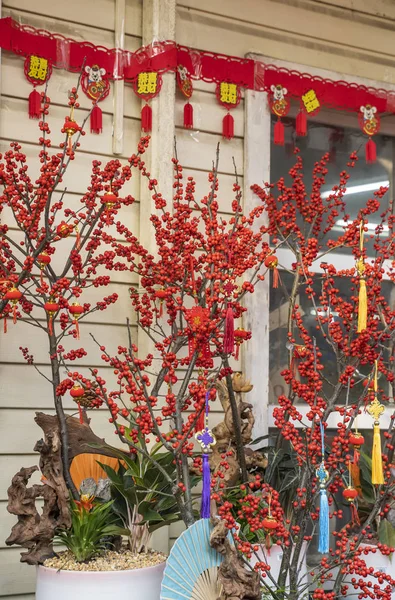 Noeud Chanceux Pour Nouvel Chinois Salutation Caractère Chinois Signifie Bonne — Photo