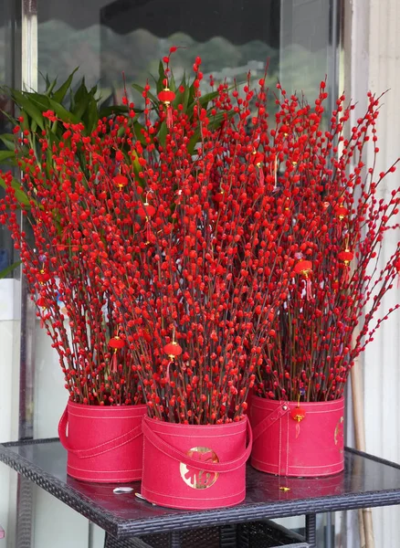 Nudo Suerte Colgando Flor Para Saludo Chino Año Nuevo Carácter —  Fotos de Stock