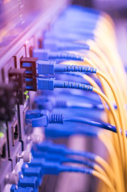 Fiber Optik kablolar optik portlara ve UTP 'ye bağlandı, ethernet portlarına bağlı ağ kabloları.