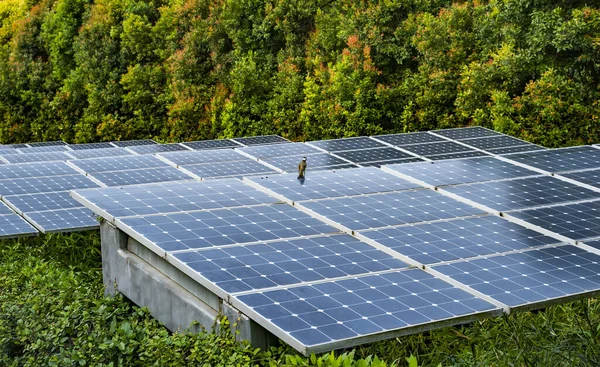 Ökologische Solaranlage Für Erneuerbare Energien — Stockfoto
