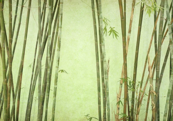 Бамбук Старом Фоне Текстуры Гранж Бумаги — стоковое фото