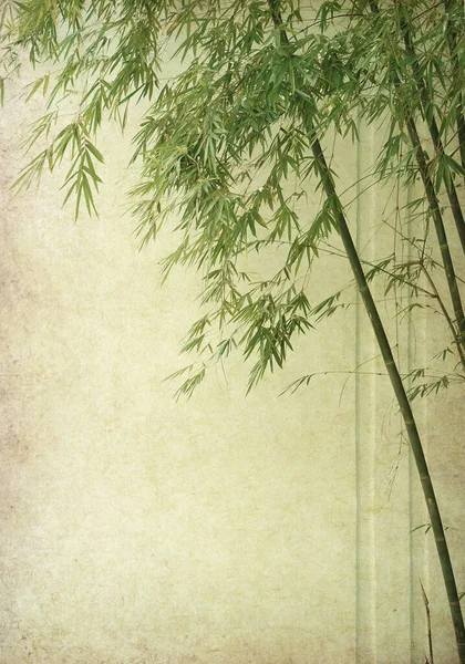 Eski Grunge Kağıt Doku Arka Planında Bambu — Stok fotoğraf