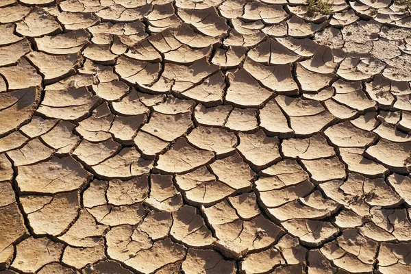 Global Warming Concept Cracked Ground — Stock Photo, Image