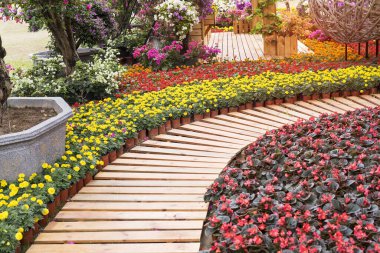 Tahta patika Çiçeklerle çevrili bahçede