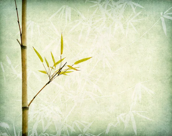 Bamboo Old Grunge Paper Texture Background — Stock Photo, Image