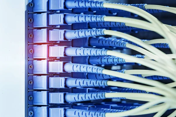 Kabel Światłowodowy Połączony Komunikacją Punkt Dystrybucji — Zdjęcie stockowe