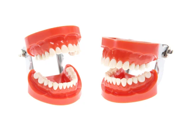 Зубы Зубные Протезы Изолированные Белом — стоковое фото