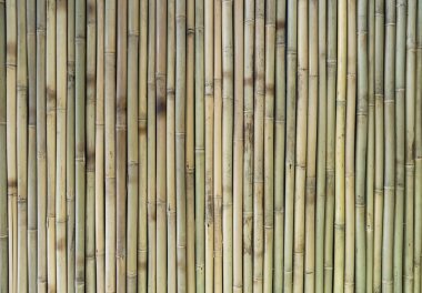 Dekoratif bambu çit duvarının dokusu 