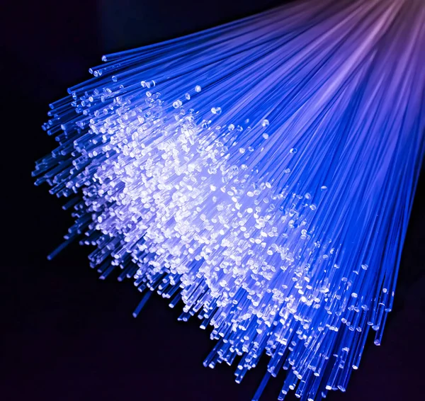 超高速网络通信用光纤网络电缆 高速传输信息的细线 — 图库照片