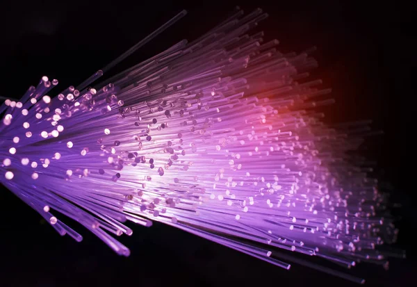 Fiber Optik Nätverkskabel För Ultrasnabb Internet Kommunikation Tunna Ljus Trådar — Stockfoto