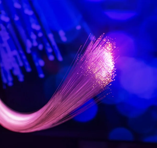 Çok Hızlı Internet Iletişimi Için Fiber Optik Kablosu Bilgiyi Yüksek — Stok fotoğraf