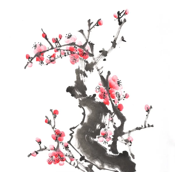 Κινέζικη Ζωγραφική Λουλουδιών Δαμάσκηνο Άνθος Λευκό Φόντο — Φωτογραφία Αρχείου