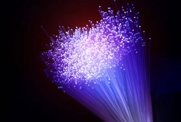 Fiber Optics Network Cable Ultra Fast Internet Communications — Stock Photo, Image