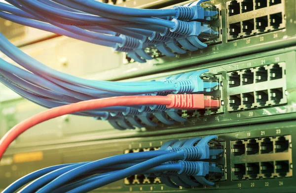 Server Rack Met Blauwe Rode Internet Patch Cord Kabels Verbonden — Stockfoto