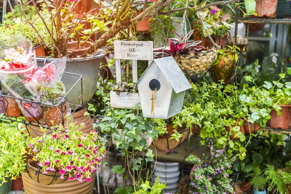 Birdhouse Aninhos Entre Flores Primavera — Fotografia de Stock