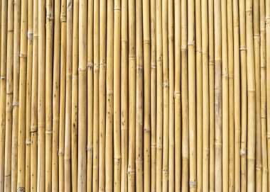 Bambudan yapılmış çitler.