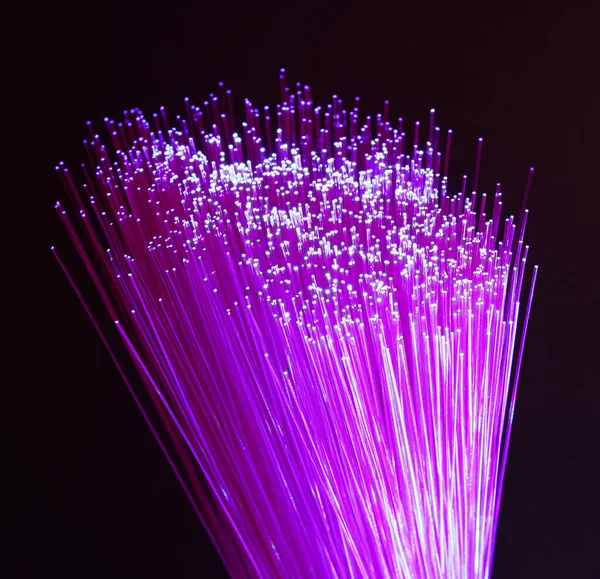Câble Réseau Fibre Optique Sur Fond Technologie — Photo