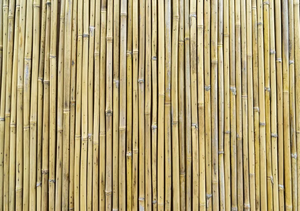 Staket Tillverkat Bambupinnar — Stockfoto