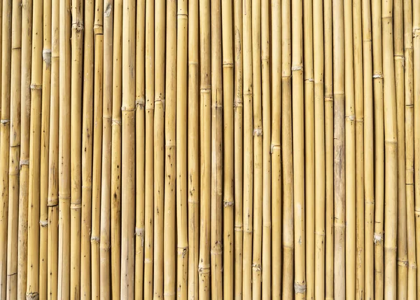 fence made of bamboo sticks