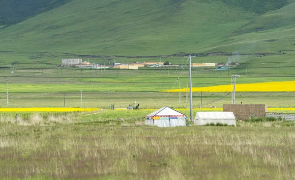 Bela Paisagem Lago Qinghai Flor Cole Acampamento Nômade Prado Oeste — Fotografia de Stock