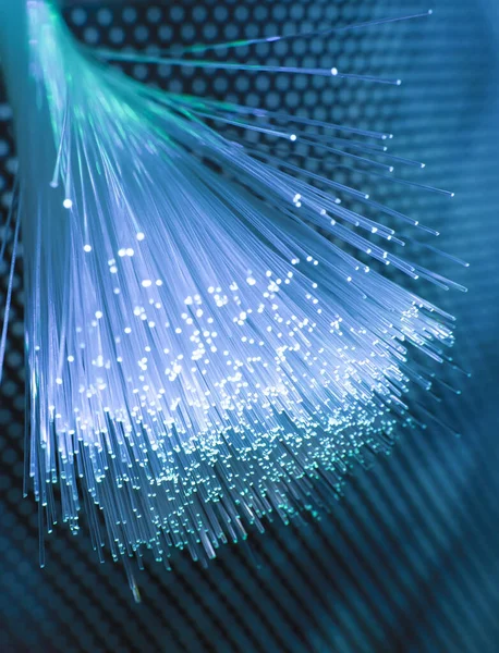 テクノロジーの背景にある光ファイバーネットワークケーブル — ストック写真