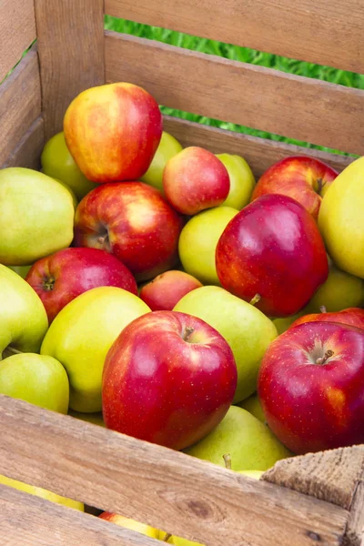 Frische Äpfel in Holzkiste — Stockfoto