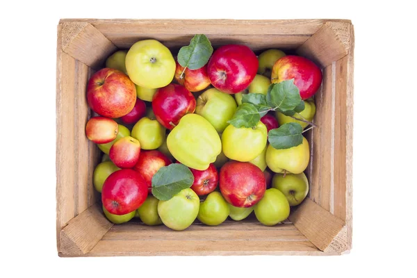 Fresh apples in wooden box — Stock Photo, Image