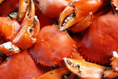 Kırmızı baharatlı yengeçler