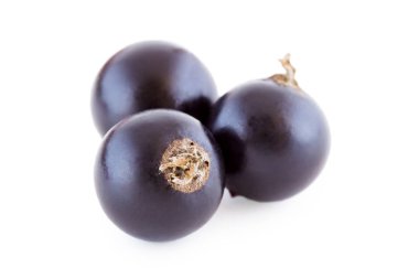 Beyaz izole üç siyah kuş üzümü