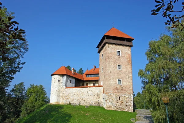 Dubovac Castle, Croatia — Stock fotografie