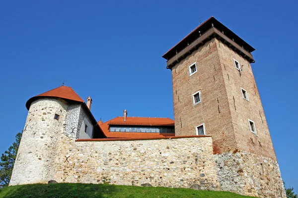 Castelo de Dubovac, Croácia — Fotografia de Stock