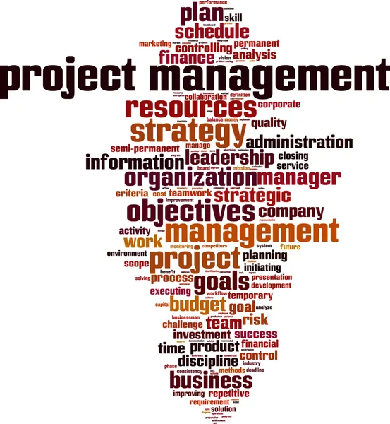 Project management word cloud — Stock Vector