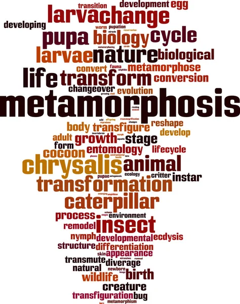 Metamorfosi parola nube — Vettoriale Stock