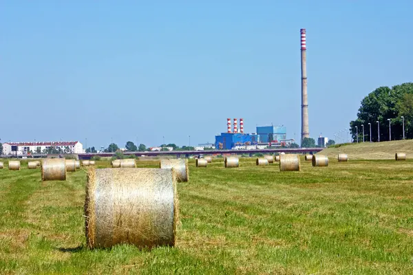 Natur och fabriken — Stockfoto