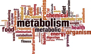 Metabolizma kelime bulutu