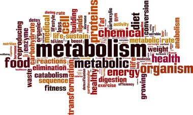 Metabolism word cloud clipart