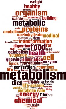 Metabolizma kelime bulutu