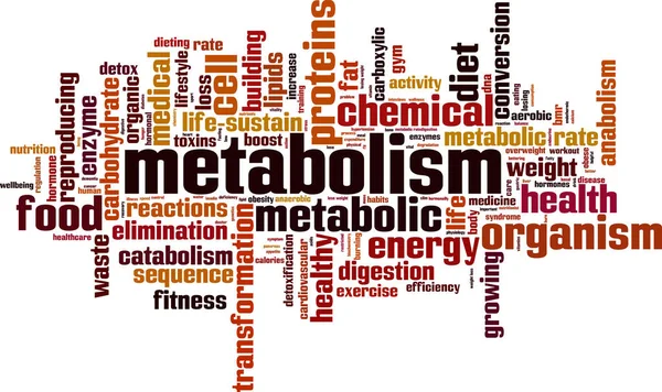 Metabolismo parola nube — Vettoriale Stock