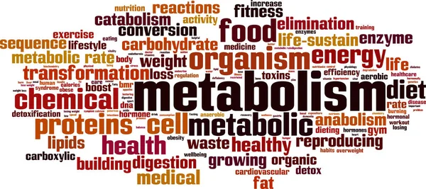 Metabolismo nuvem de palavras —  Vetores de Stock