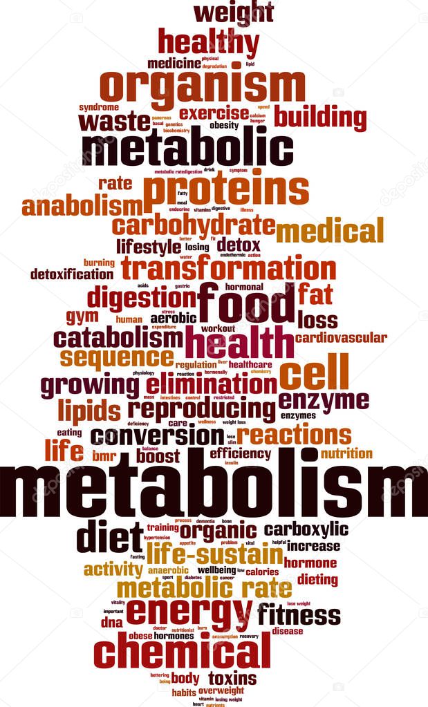 Metabolism word cloud