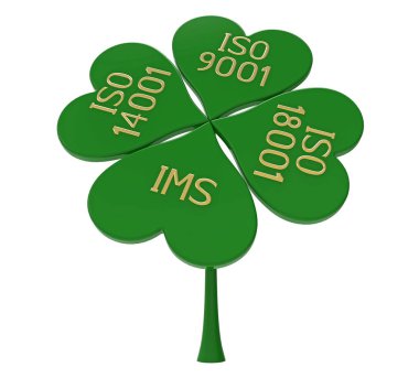 entegre yönetim sistemi