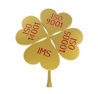 entegre yönetim sistemi