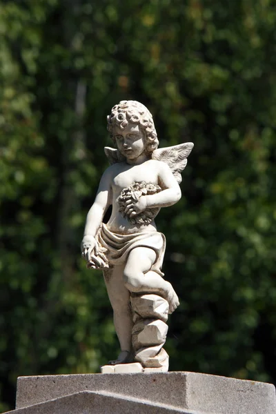 Statue of angel — Stock Photo, Image