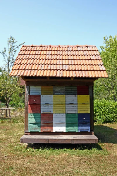 Bee hives — Stock Photo, Image