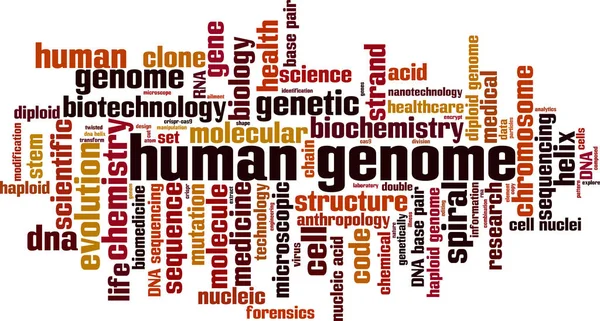 Nsan Genomu Kelime Bulut Konsepti Nsan Genomu Ile Ilgili Kelimelerden — Stok Vektör