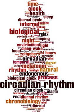 Circadian ritim kelime bulut konsepti. Kolaj, sirkadyan ritimle ilgili kelimelerden yapılmıştır. Vektör illüstrasyonu