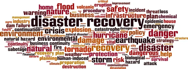 Disastro Concetto Recupero Parola Cloud Collage Parole Sul Disaster Recovery — Vettoriale Stock